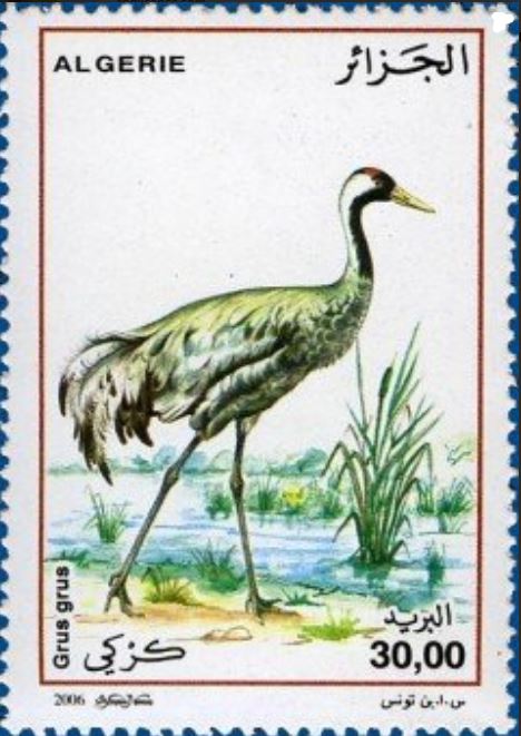 Stamp