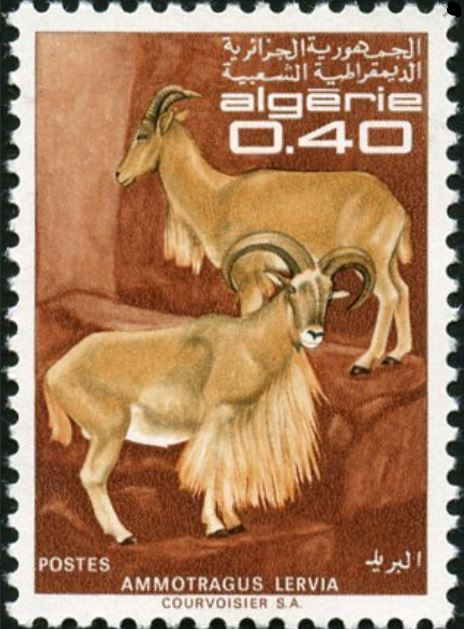 Stamp