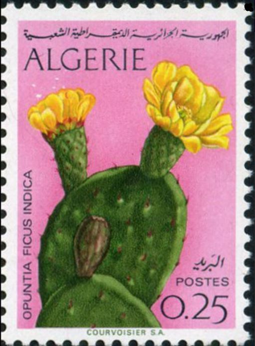 Stamp