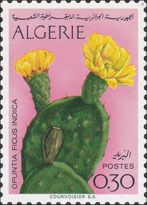 Stamp