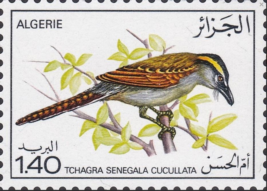 Stamp