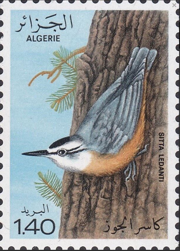 Stamp