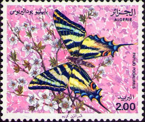 Stamp