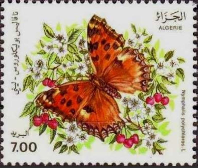 Stamp
