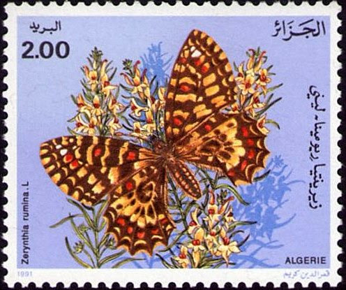 Stamp