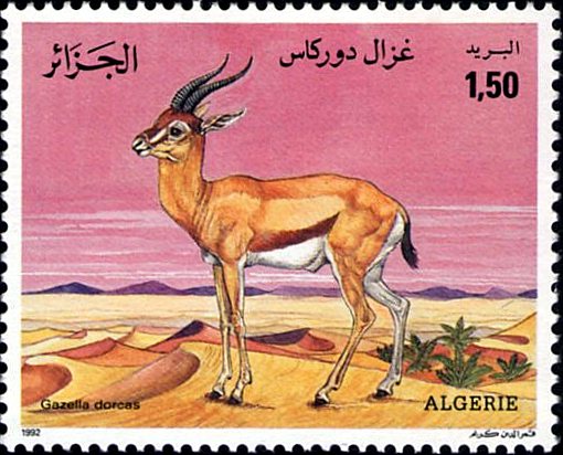 Stamp