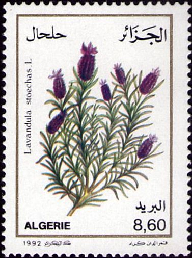 Stamp
