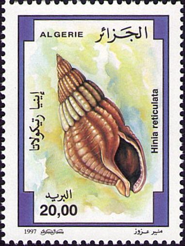 Stamp
