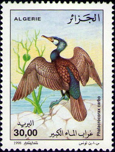 Stamp