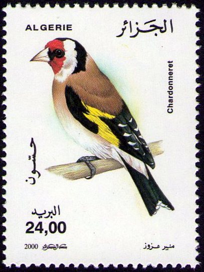 Stamp