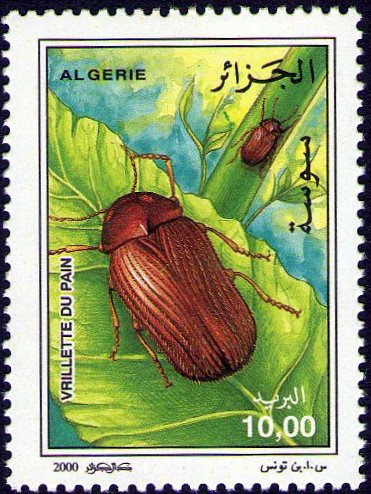 Stamp