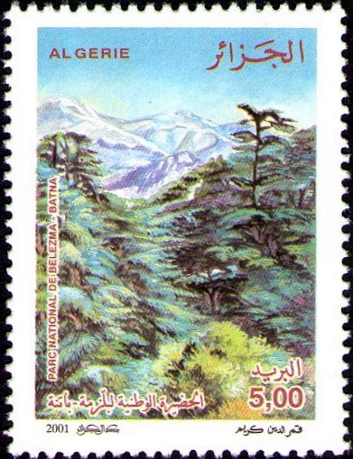 Stamp