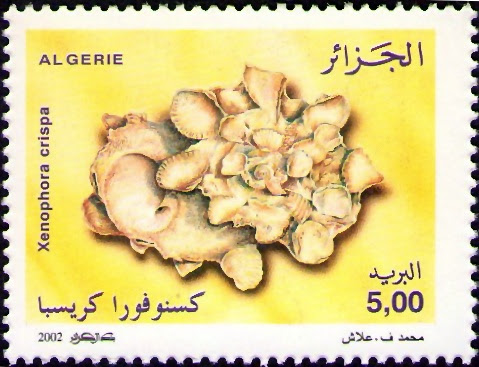 Stamp