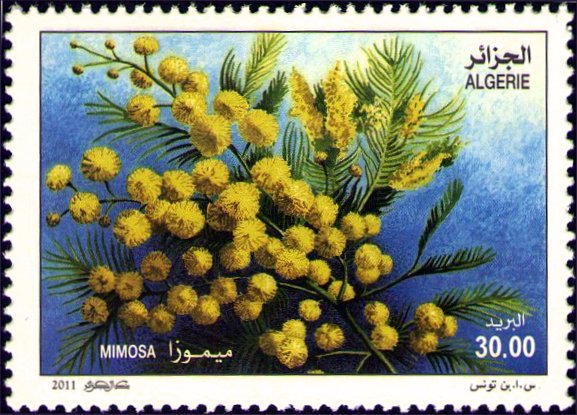 Stamp