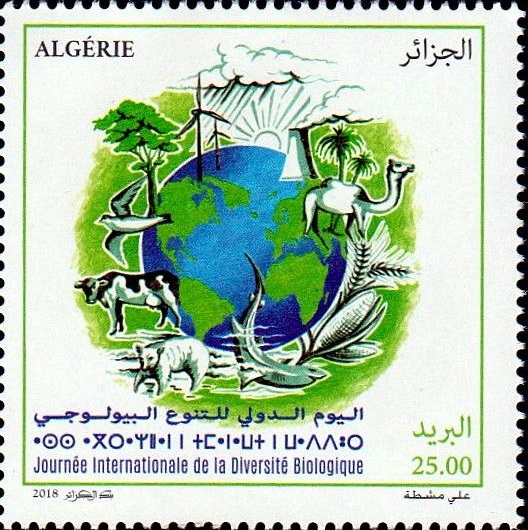 Stamp