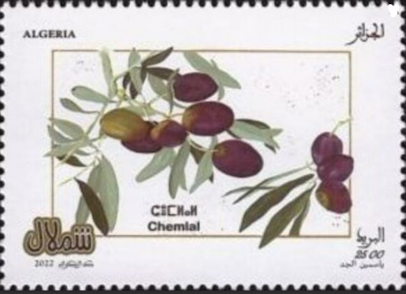 Stamp