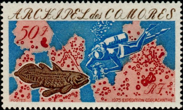 Stamp