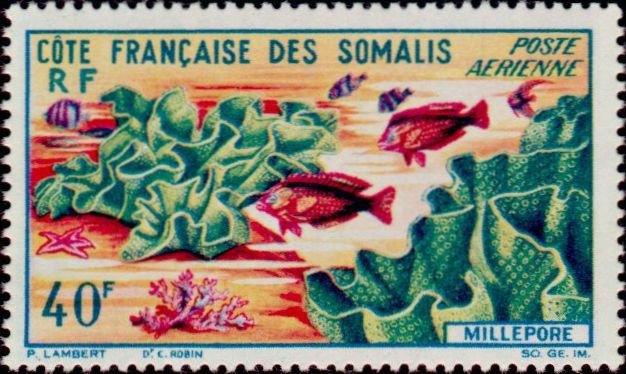 Stamp