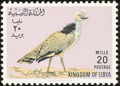 Stamp