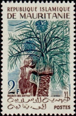 Stamp