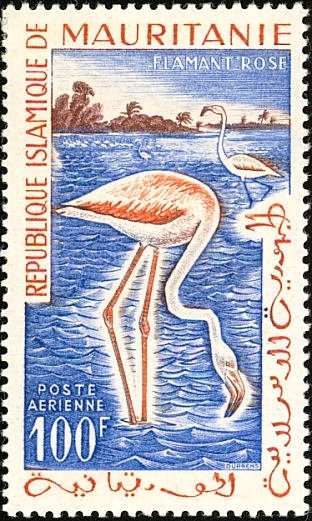 Stamp