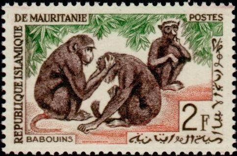 Stamp