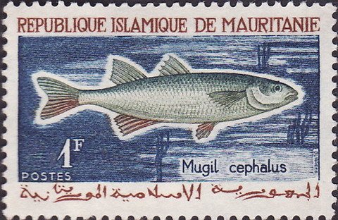 Stamp