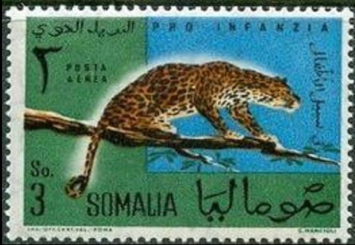 Stamp