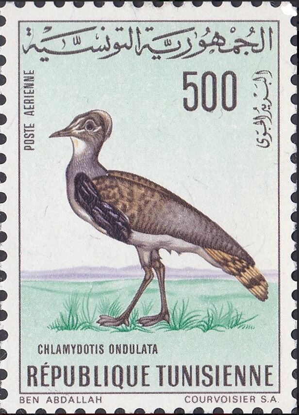 Stamp