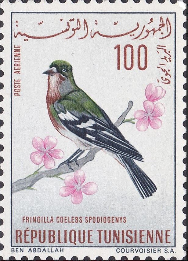 Stamp