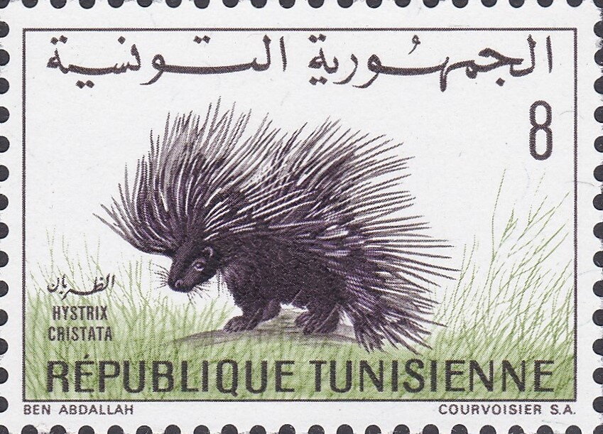 Stamp