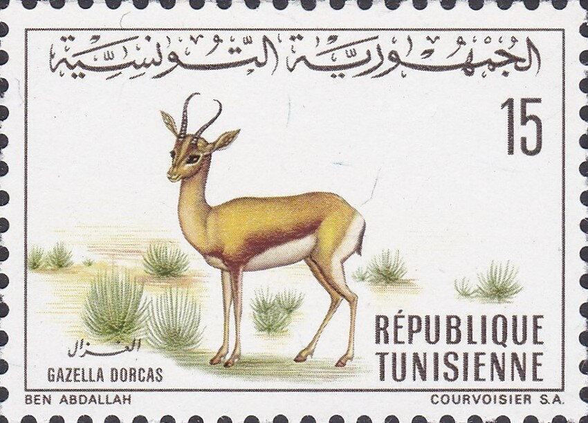 Stamp