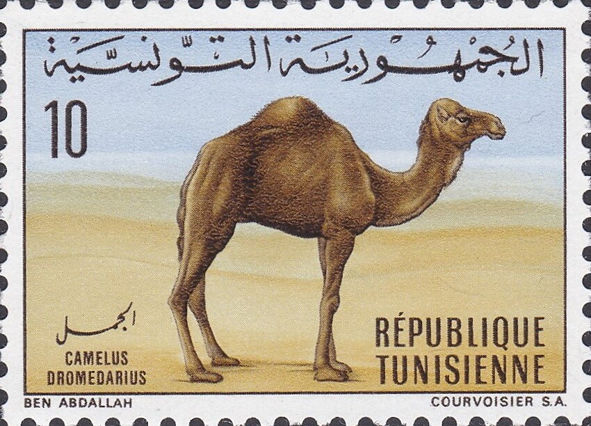 Stamp
