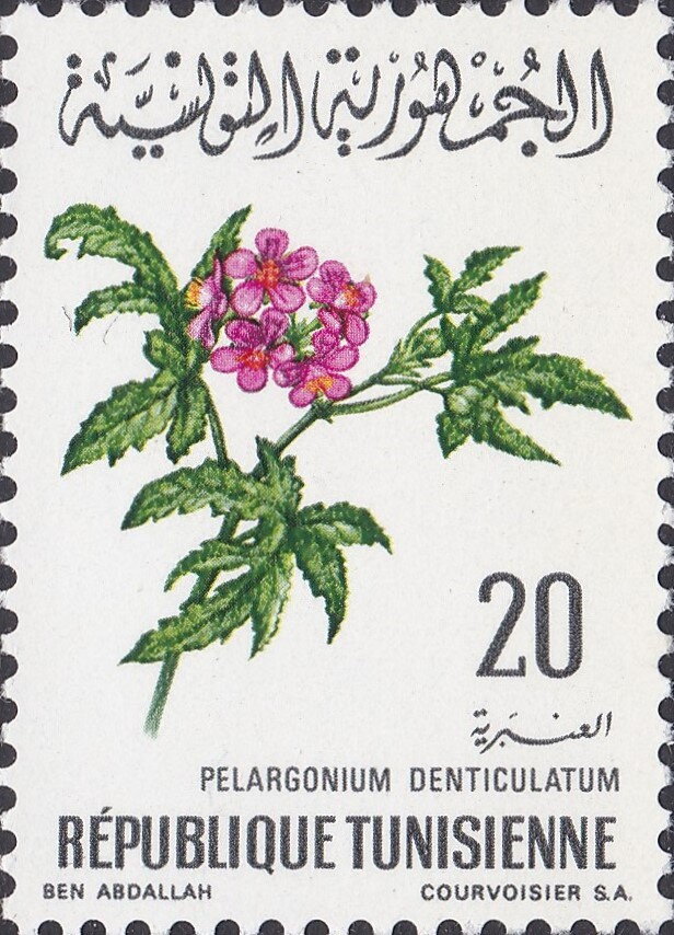 Stamp