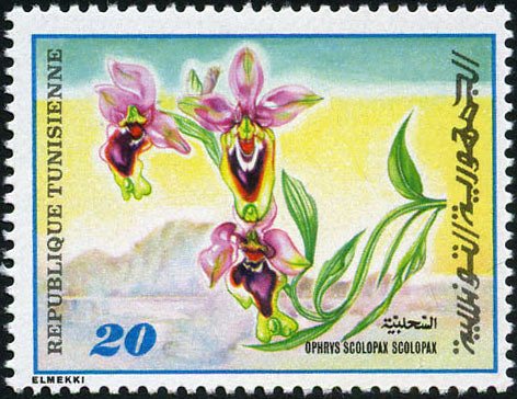 Stamp