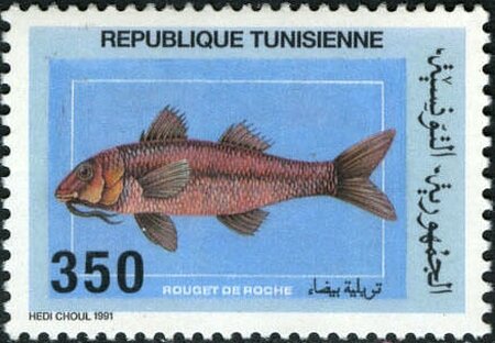 Stamp
