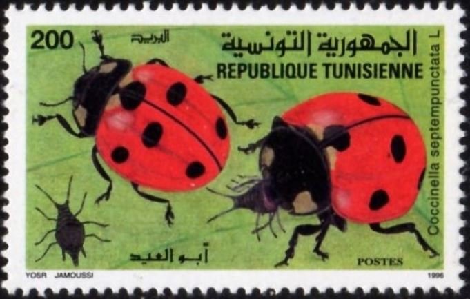 Stamp