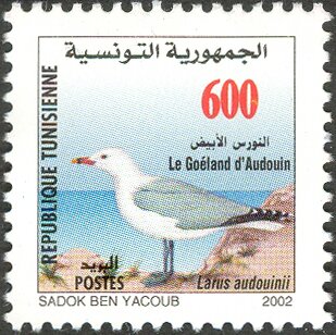 Stamp