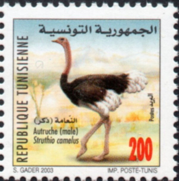 Stamp