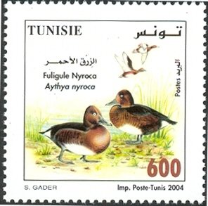 Stamp