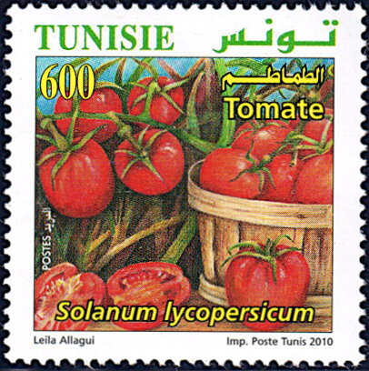 Stamp