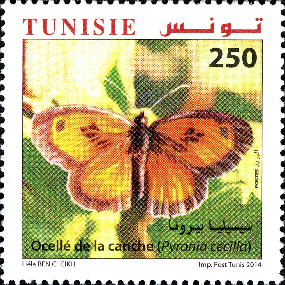 Stamp
