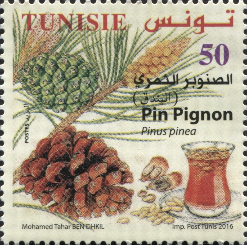 Stamp