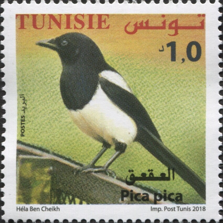 Stamp