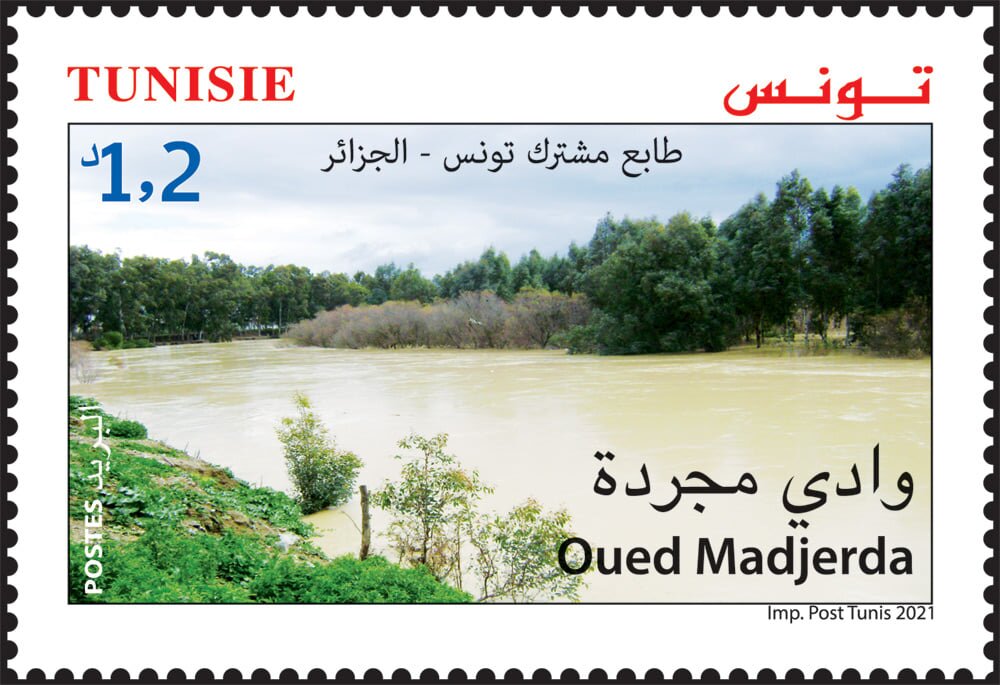 Stamp