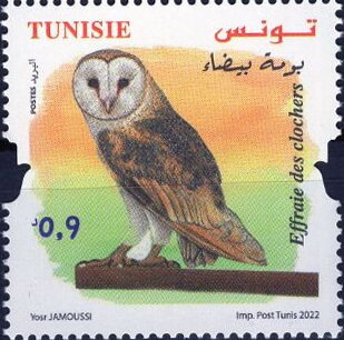 Stamp