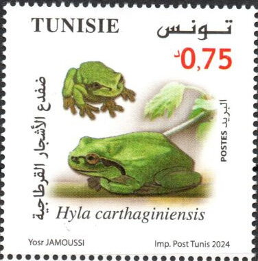 Stamp
