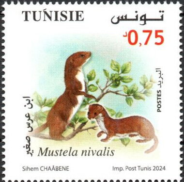 Stamp